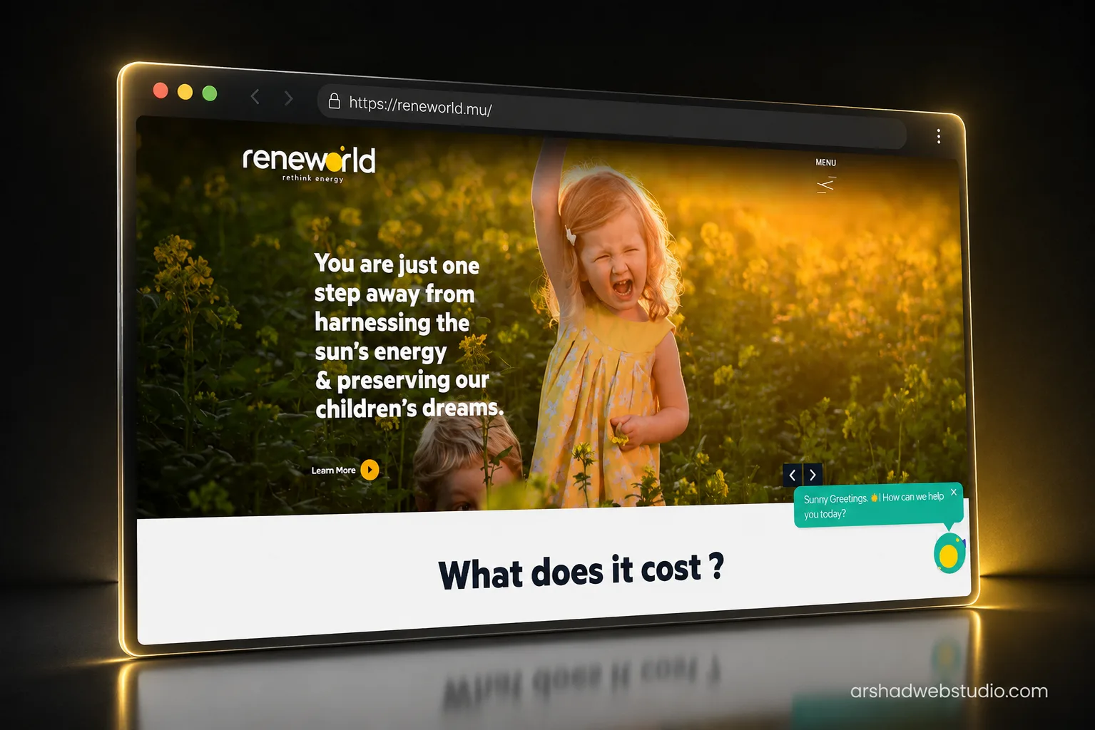Reneworld — case study